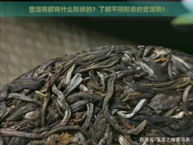 普洱茶都有什么形状的？了解不同形态的普洱茶！