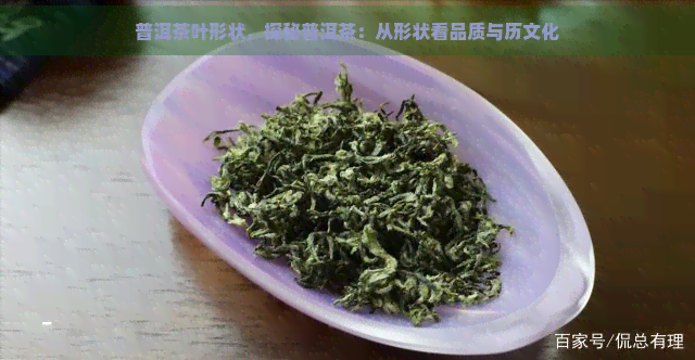 普洱茶叶形状，探秘普洱茶：从形状看品质与历文化