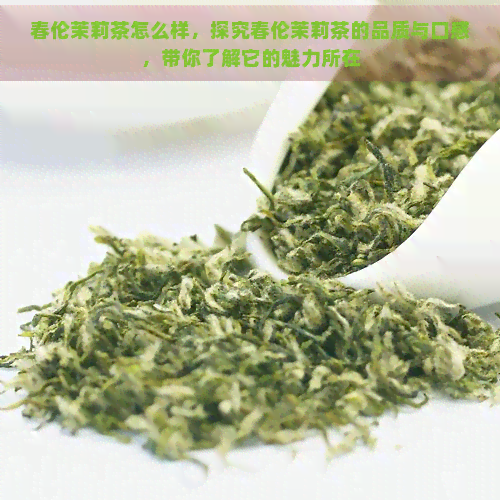 春伦茉莉茶怎么样，探究春伦茉莉茶的品质与口感，带你了解它的魅力所在