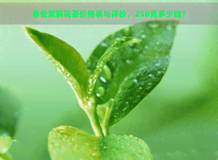 春伦茉莉花茶价格表与评价，250克多少钱？