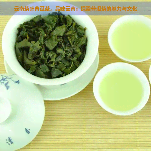 云南茶叶普洱茶，品味云南：探索普洱茶的魅力与文化