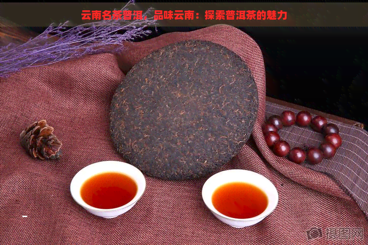 云南名茶普洱，品味云南：探索普洱茶的魅力