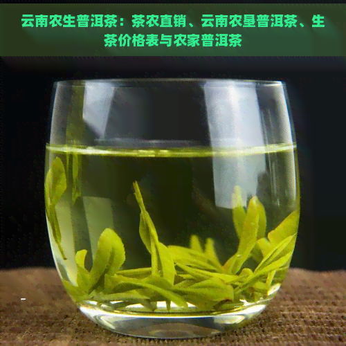 云南农生普洱茶：茶农直销、云南农垦普洱茶、生茶价格表与农家普洱茶