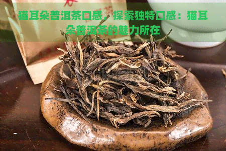 猫耳朵普洱茶口感，探索独特口感：猫耳朵普洱茶的魅力所在