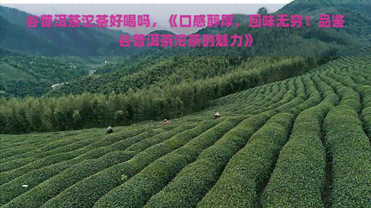 谷普洱茶沱茶好喝吗，《口感醇厚，回味无穷！品鉴谷普洱茶沱茶的魅力》