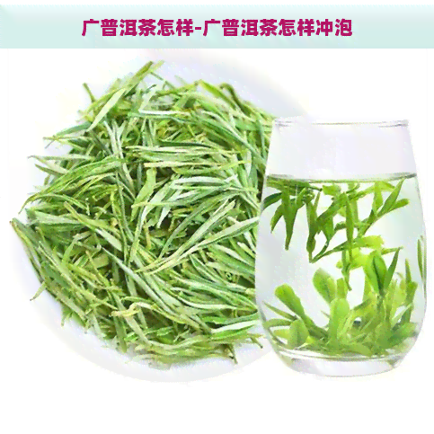 广普洱茶怎样-广普洱茶怎样冲泡