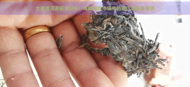 大益普洱茶前景分析：详解其在市场中的地位与前景预测