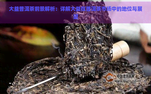 大益普洱茶前景解析：详解大益在普洱茶市场中的地位与展望