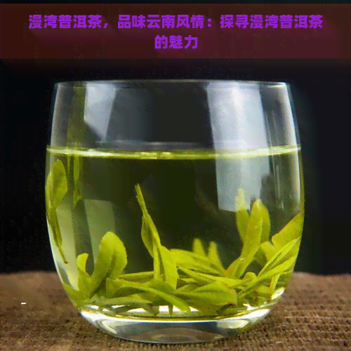 漫湾普洱茶，品味云南风情：探寻漫湾普洱茶的魅力