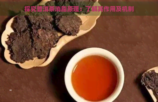 探究普洱茶消脂原理：了解其作用及机制