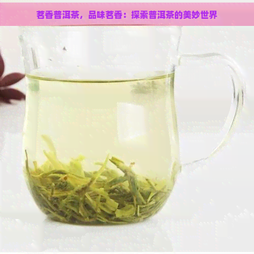 茗香普洱茶，品味茗香：探索普洱茶的美妙世界