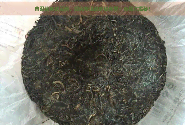 普洱茶含铁高吗，探究普洱茶的铁含量：真相大揭秘！