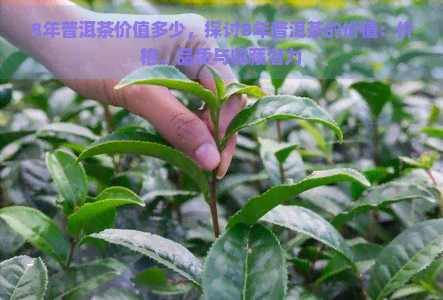 8年普洱茶价值多少，探讨8年普洱茶的价值：价格、品质与收藏潜力