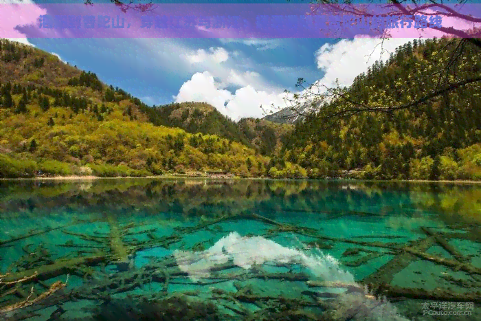 泗阳到普陀山，穿越江苏与浙江：探索泗阳至普陀山的旅行路线