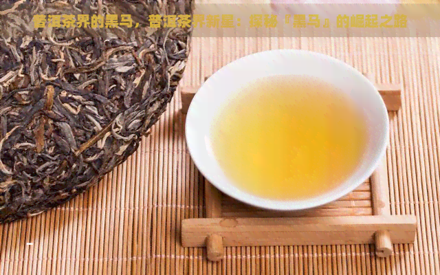 普洱茶界的黑马，普洱茶界新星：探秘『黑马』的崛起之路