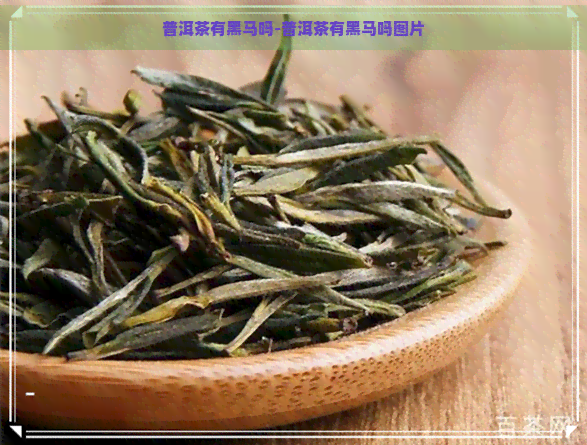 普洱茶有黑马吗-普洱茶有黑马吗图片