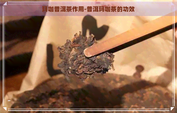 玛咖普洱茶作用-普洱玛咖茶的功效