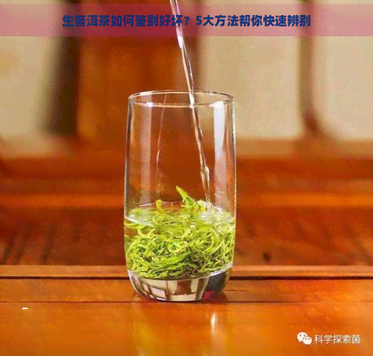 生普洱茶如何鉴别好坏？5大方法帮你快速辨别