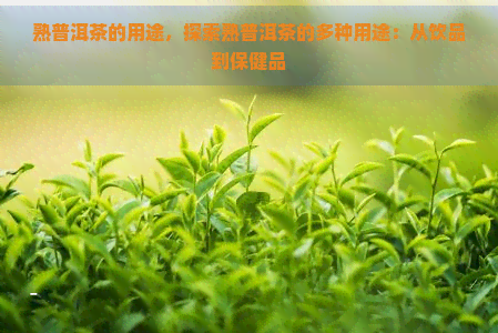 熟普洱茶的用途，探索熟普洱茶的多种用途：从饮品到保健品