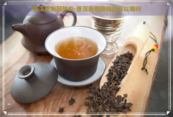 普洱茶-普洱茶可以喝吗