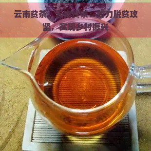 云南贫茶，云南贫茶：助力脱贫攻坚，实现乡村振兴