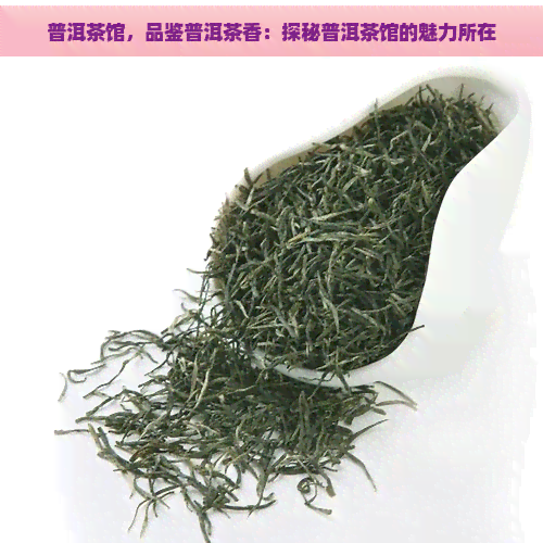 普洱茶馆，品鉴普洱茶香：探秘普洱茶馆的魅力所在