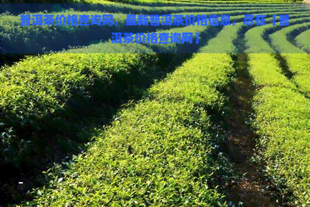 普洱茶价格查询网，最新普洱茶价格信息，尽在【普洱茶价格查询网】