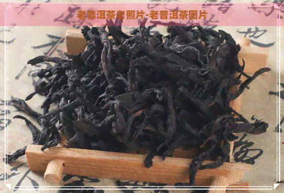 老普洱茶老照片-老普洱茶图片