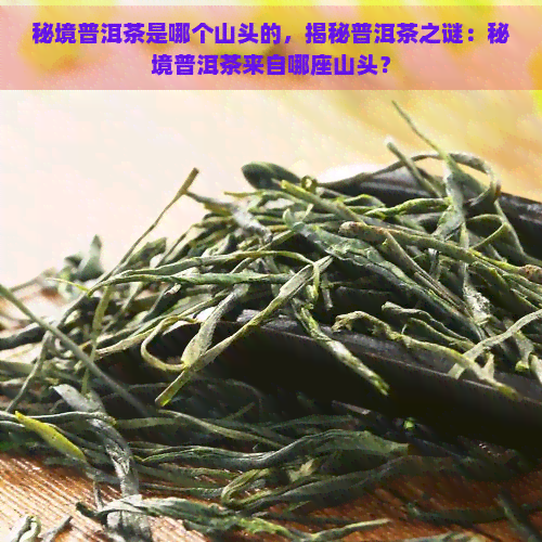 秘境普洱茶是哪个山头的，揭秘普洱茶之谜：秘境普洱茶来自哪座山头？