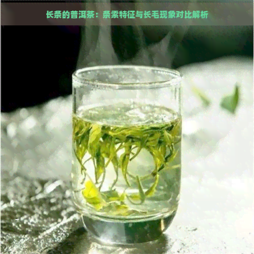 长条的普洱茶：条索特征与长毛现象对比解析