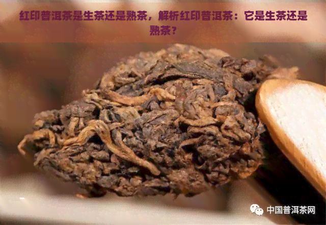 红印普洱茶是生茶还是熟茶，解析红印普洱茶：它是生茶还是熟茶？