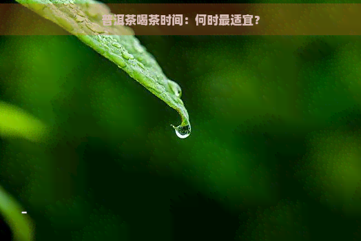 普洱茶喝茶时间：何时最适宜？