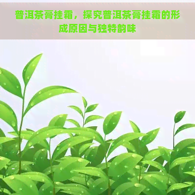 普洱茶膏挂霜，探究普洱茶膏挂霜的形成原因与独特韵味