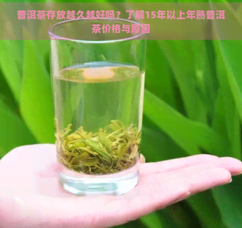 普洱茶存放越久越好吗？了解15年以上年熟普洱茶价格与原因