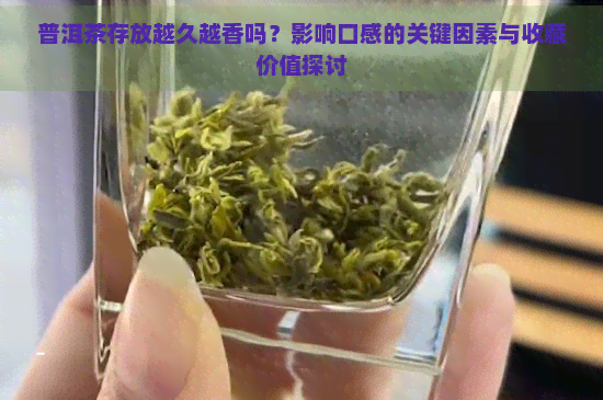 普洱茶存放越久越香吗？影响口感的关键因素与收藏价值探讨