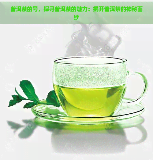 普洱茶的号，探寻普洱茶的魅力：揭开普洱茶的神秘面纱