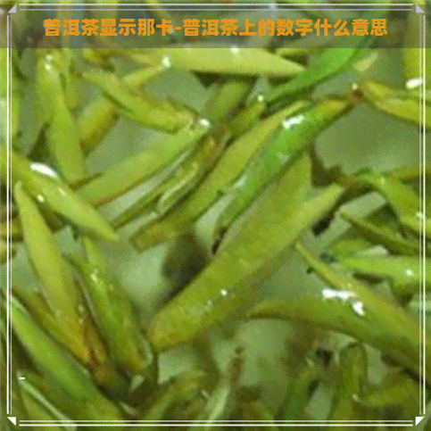 普洱茶显示那卡-普洱茶上的数字什么意思