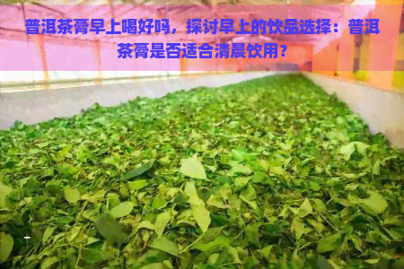 普洱茶膏早上喝好吗，探讨早上的饮品选择：普洱茶膏是否适合清晨饮用？