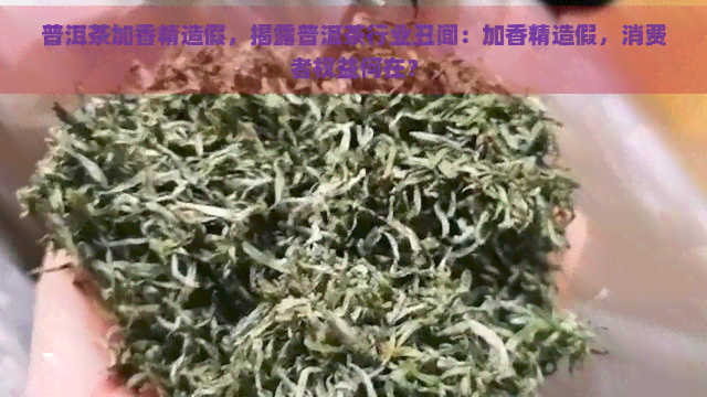 普洱茶加香精造假，揭露普洱茶行业丑闻：加香精造假，消费者权益何在？