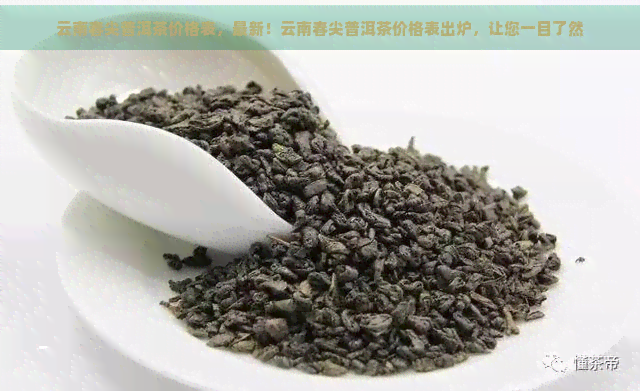 云南春尖普洱茶价格表，最新！云南春尖普洱茶价格表出炉，让您一目了然