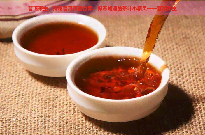 普洱茶虫，探秘普洱茶的世界：你不知道的茶叶小精灵——普洱茶虫