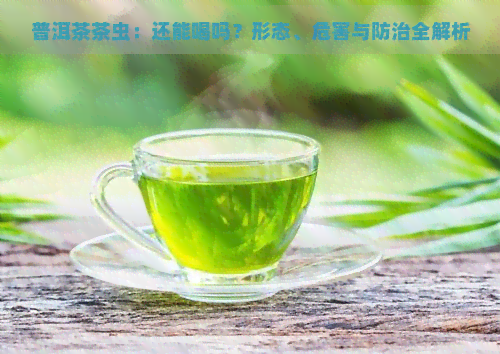 普洱茶茶虫：还能喝吗？形态、危害与防治全解析