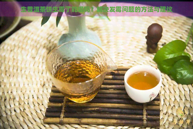 生普洱茶饼生霉了能喝吗？解决发霉问题的方法与建议