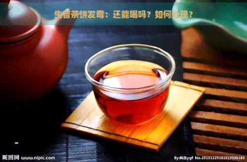 生普茶饼发霉：还能喝吗？如何处理？