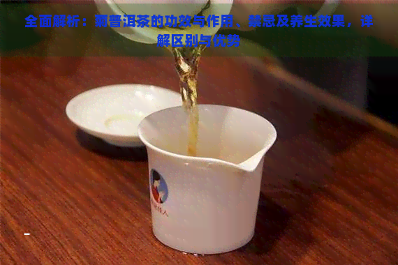 全面解析：菊普洱茶的功效与作用、禁忌及养生效果，详解区别与优势