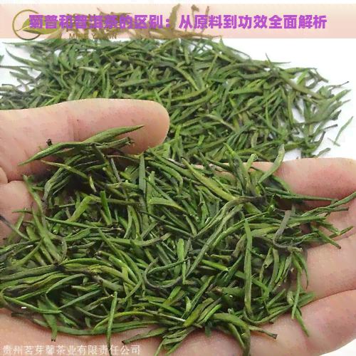 菊普和普洱茶的区别：从原料到功效全面解析