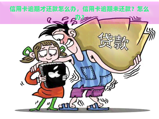 信用卡逾期才还款怎么办，信用卡逾期未还款？怎么办？