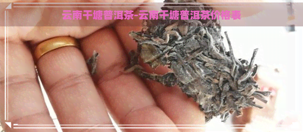 云南干塘普洱茶-云南干塘普洱茶价格表