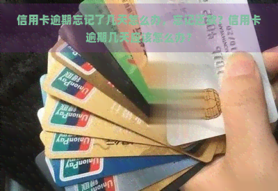 信用卡逾期忘记了几天怎么办，忘记还款？信用卡逾期几天应该怎么办？