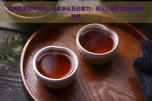 普洱茶熟茶茶化石，探索茶化石的魅力：深入了解普洱茶熟茶的世界